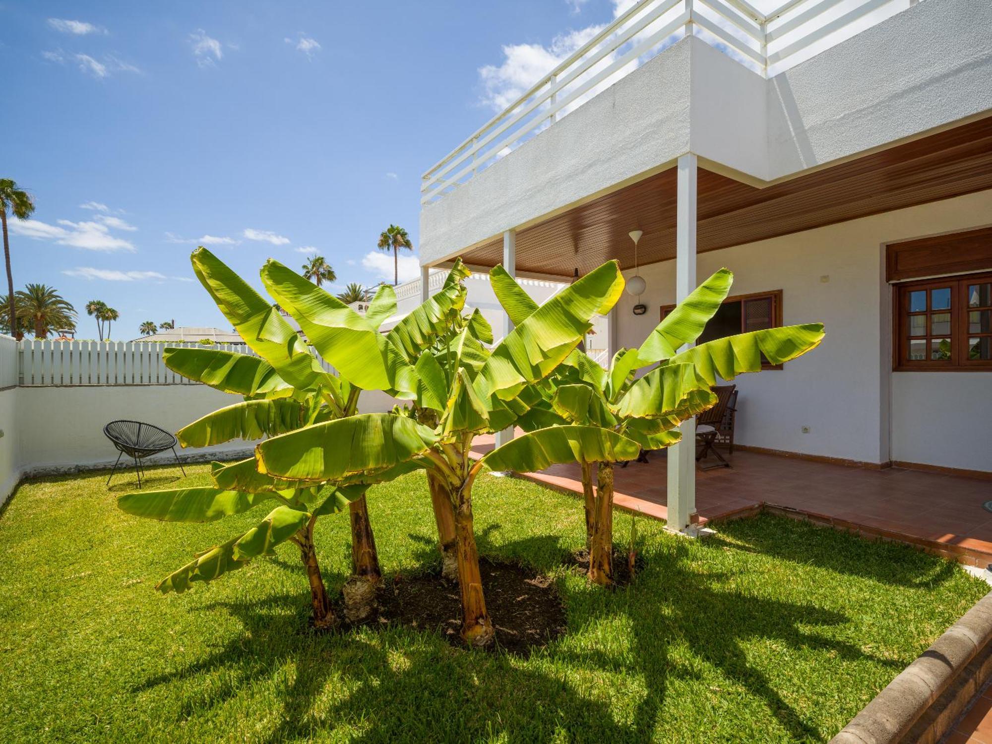 Banana House In Top Location By Tenpropertiesgc Maspalomas  Dış mekan fotoğraf